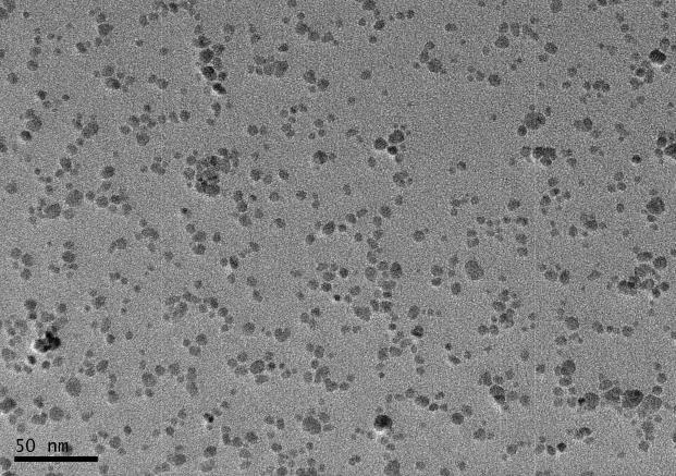 羧基化四氧化三铁磁性纳米颗粒