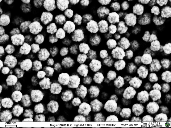 氨基化四氧化三铁磁性纳米颗粒（APTES修饰）