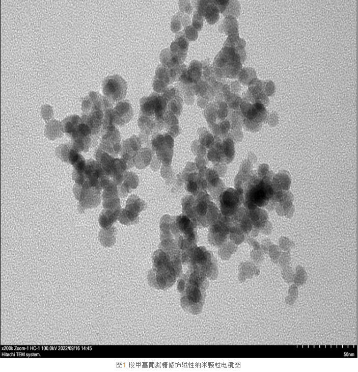 羧甲基葡聚糖修饰磁性纳米颗粒