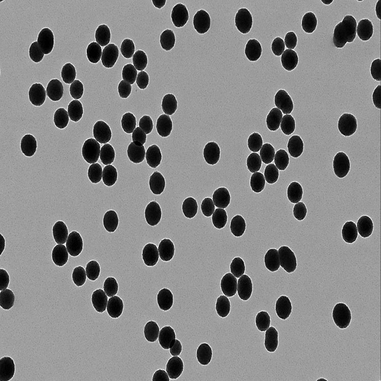 二氧化钛纳米颗粒