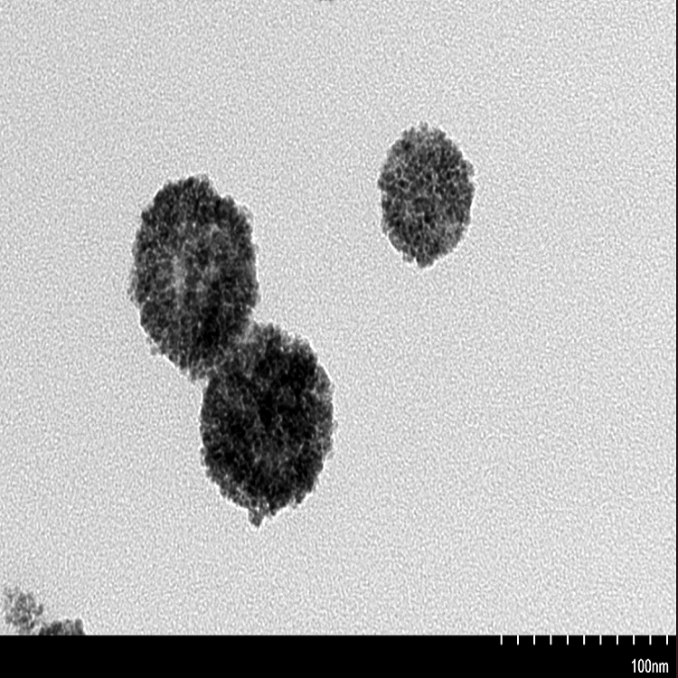 介孔二氧化铈纳米颗粒