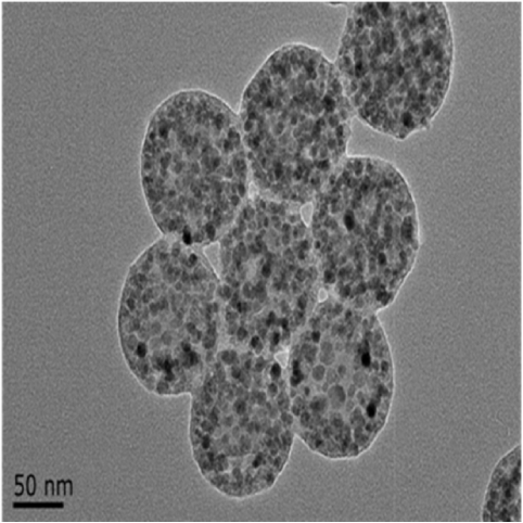 聚苯乙烯包覆磁性纳米颗粒