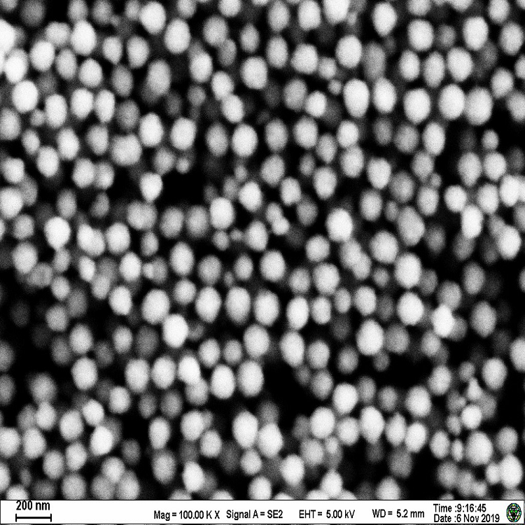 氨基磁珠（100nm-100um）