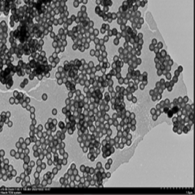 中空介孔二氧化硅纳米颗粒