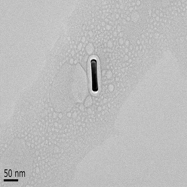 PEG修饰金纳米棒