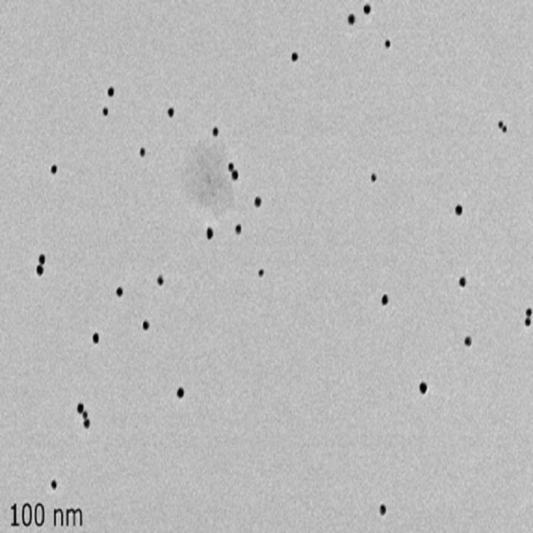 PEI修饰银纳米颗粒