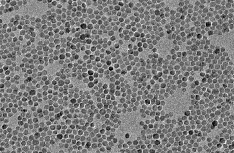 油酸修饰磁性纳米颗粒（5-50nm）