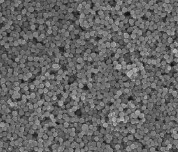 无修饰磁性纳米颗粒