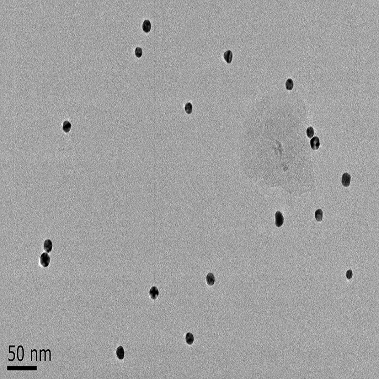 CTAB修饰银纳米颗粒